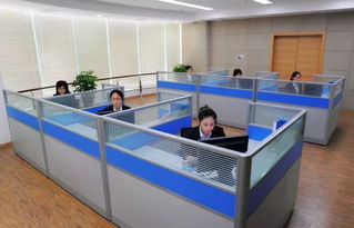 全天候溫暖守護 蒼南縣96345社會救助服務熱線正式開通